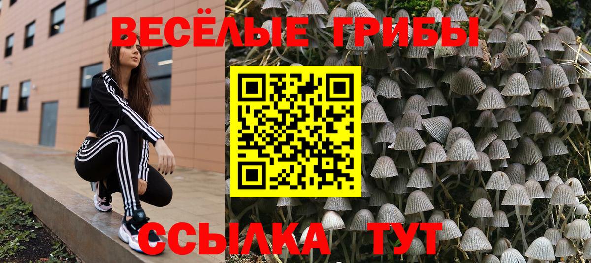 купить   Галлюциногенные грибы ЛСД  Вход с VPN  Грозный 